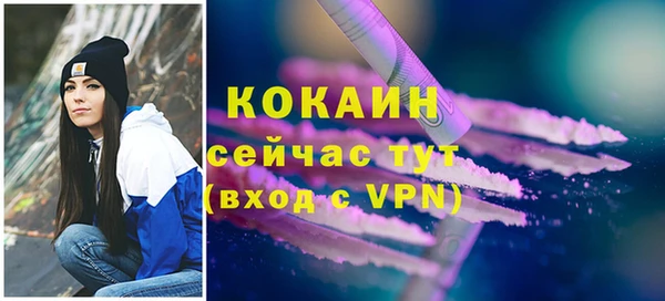 прущие грибы Гусев