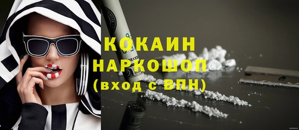 прущие грибы Гусев