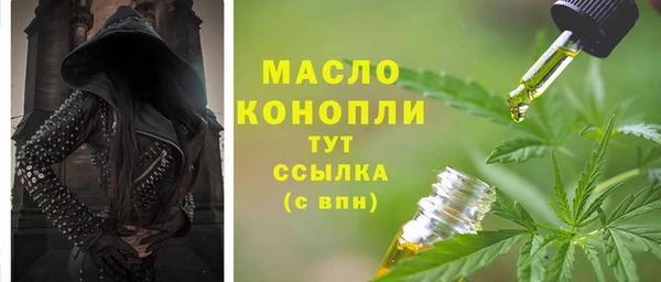 прущие грибы Гусев