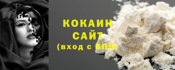 прущие грибы Наволоки