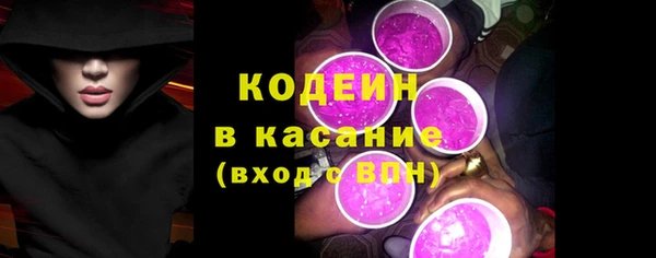 прущие грибы Гусев