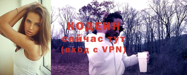 прущие грибы Гусев