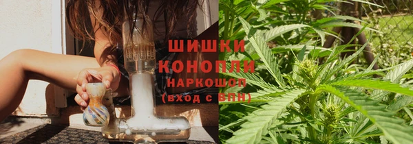 прущие грибы Гусев