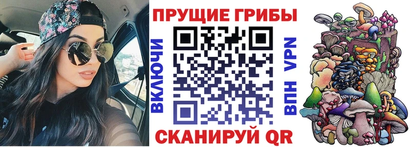 купить наркотик Петухово Галлюциногенные грибы Psilocybe
